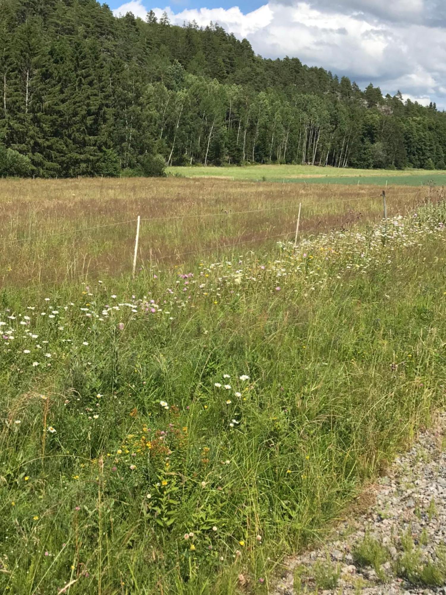 Charmigt Aeldre Hus, Laddbox 22 Kw, 5 Bil-Minuter Till Bad Strömstad Zewnętrze zdjęcie